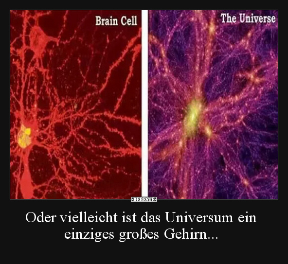 Oder vielleicht ist das Universum ein einziges großes.. - Lustige Bilder | DEBESTE.de