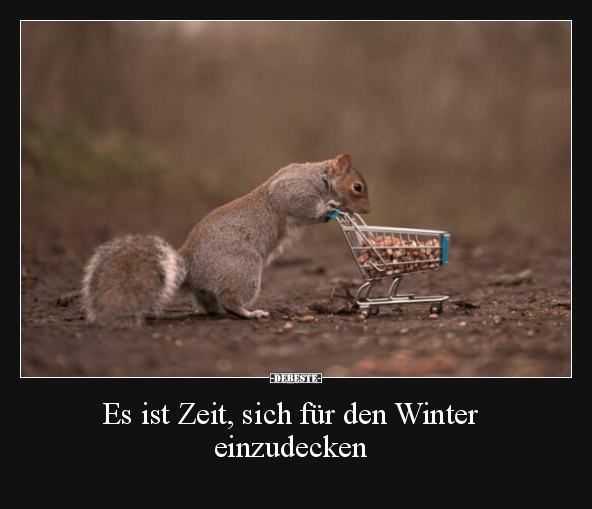 Es ist Zeit, sich für den Winter einzudecken.. - Lustige Bilder | DEBESTE.de