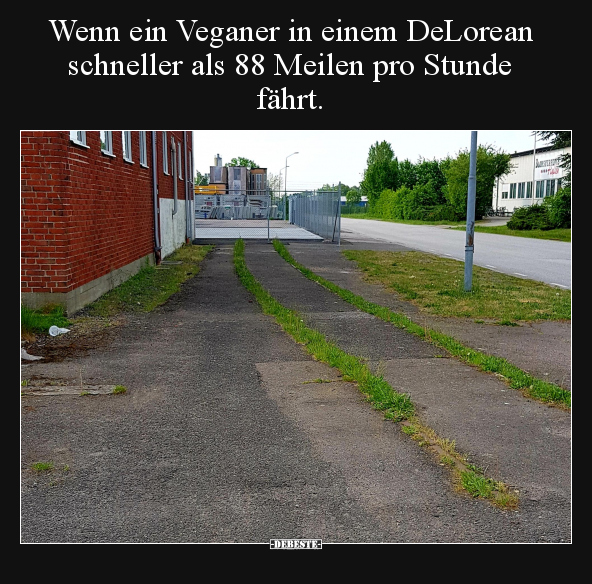 Wenn ein Veganer in einem DeLorean schneller als 88 Meilen.. - Lustige Bilder | DEBESTE.de