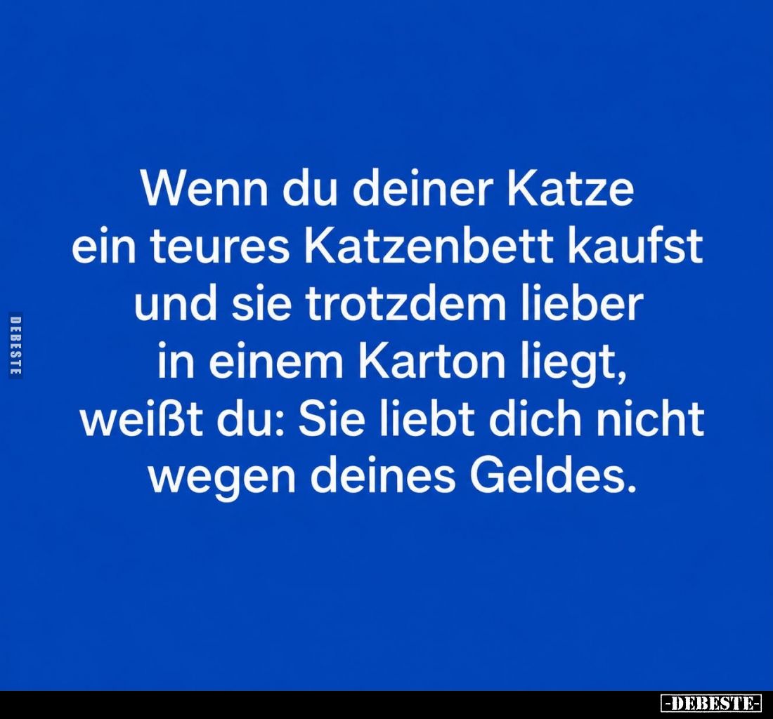 Wenn du deiner Katze
ein teures Katzenbett kaufst
und sie trotzdem lieber
in einem Karton liegt,
weißt du: Sie liebt dich...