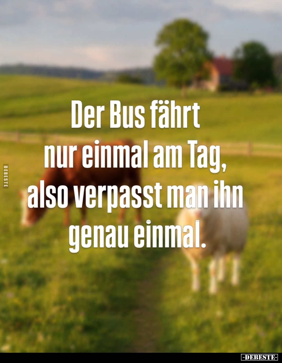 Der Bus fährt nur einmal am Tag,
also verpasst man ihn genau einmal.