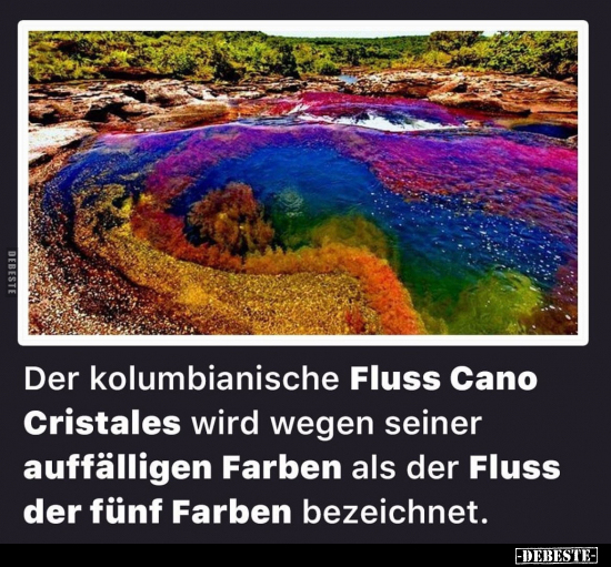 Der kolumbianische Fluss Cano Cristales wird wegen seiner.. - Lustige Bilder | DEBESTE.de