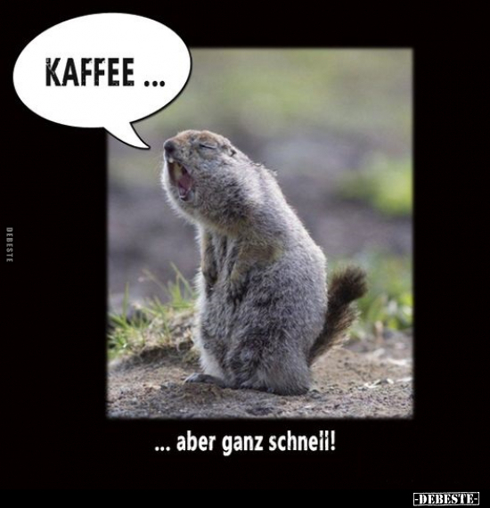 Kafee... aber ganz schnell!.. - Lustige Bilder | DEBESTE.de