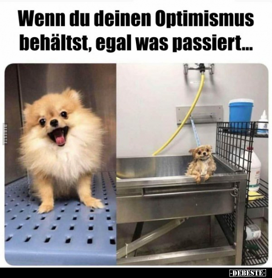 Wenn du deinen Optimismus behältst, egal was.. - Lustige Bilder | DEBESTE.de