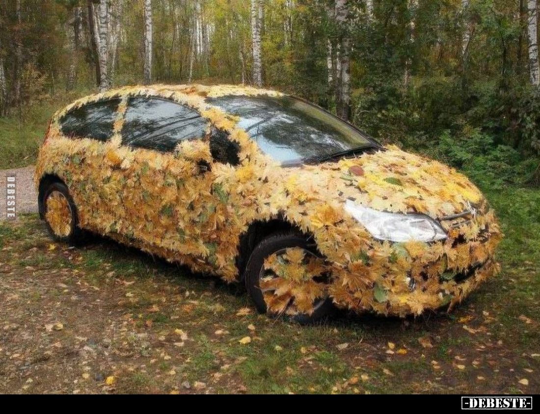  - Lustige Bilder | DEBESTE.de