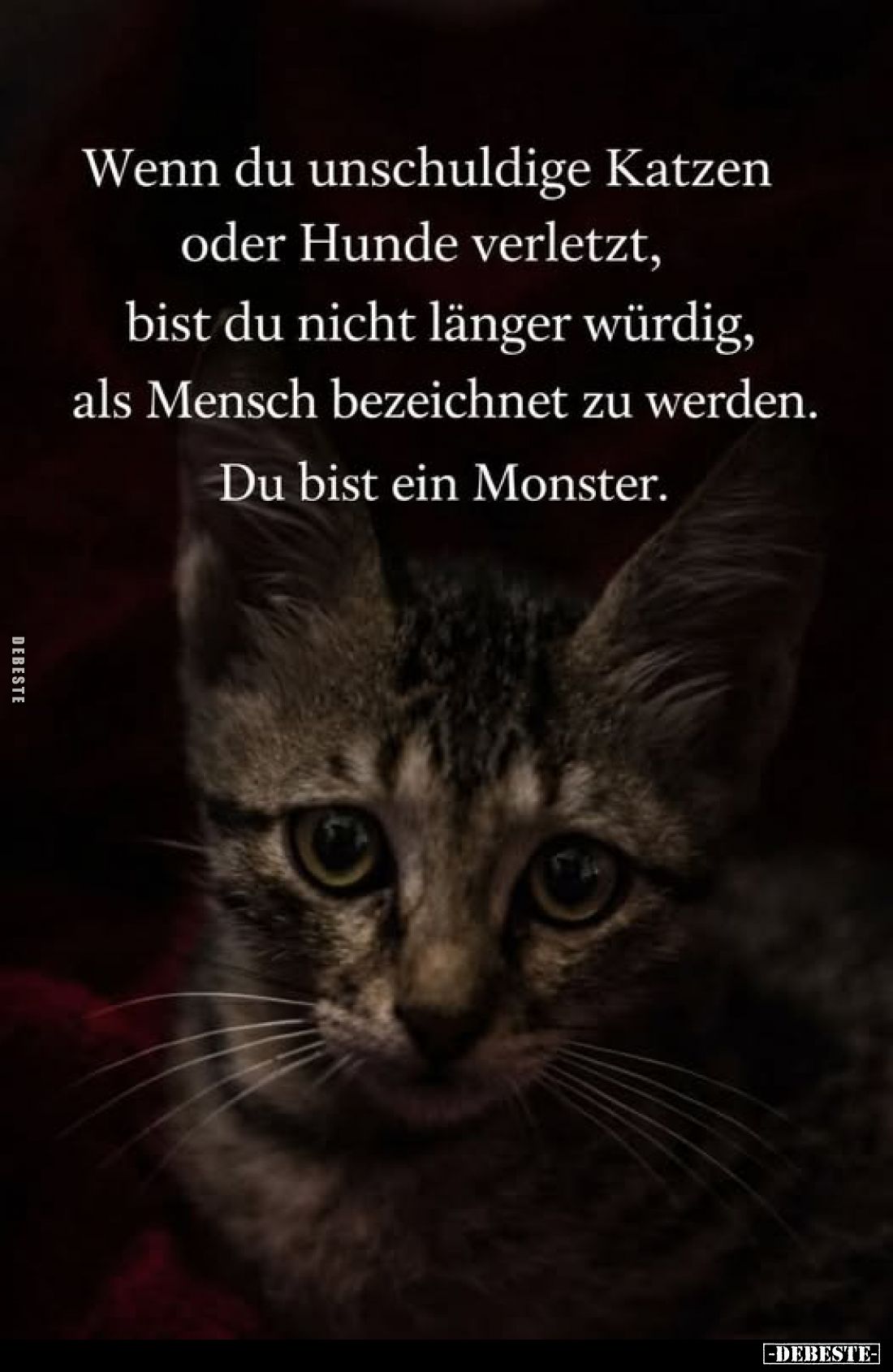 Wenn du unschuldige Katzen oder Hunde verletzt, bist du nicht länger würdig, als Mensch bezeichnet zu werden.
Du bist ein Mo...
