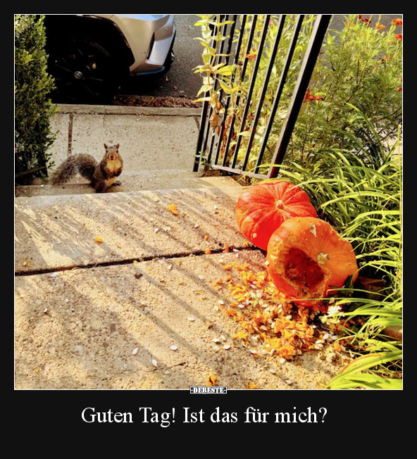 Guten Tag! Ist das für mich?.. - Lustige Bilder | DEBESTE.de