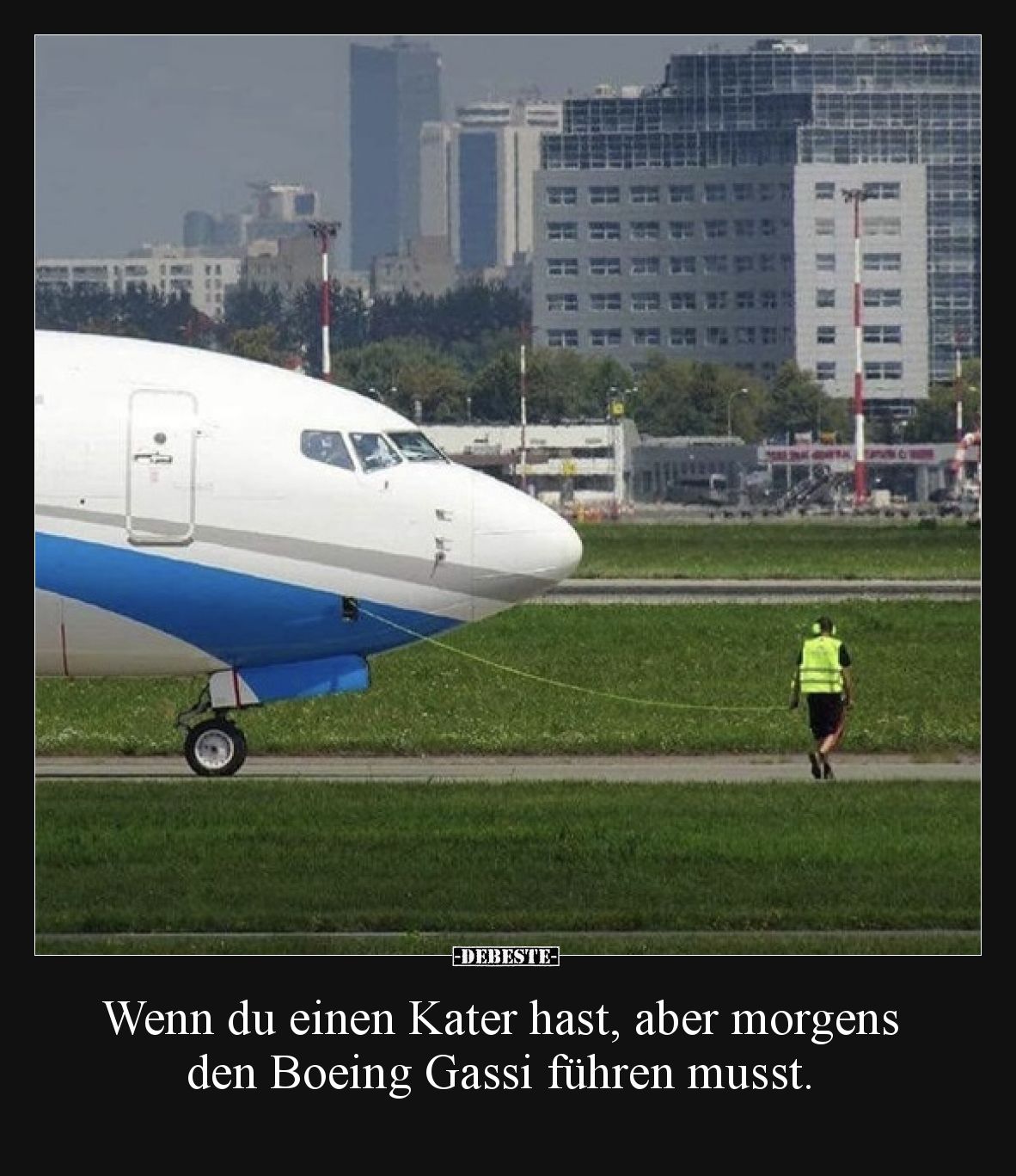 Wenn du einen Kater hast, aber morgens den Boeing Gassi führen musst.
