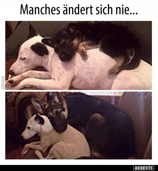 Manches ändert sich nie...
