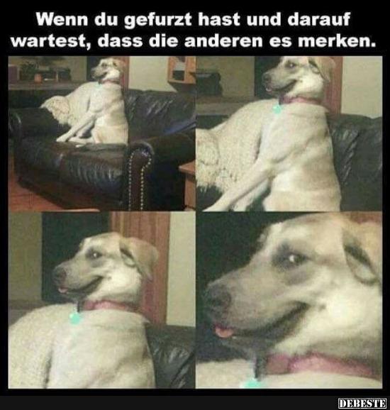Wenn du gefurzt hast und darauf wartest..