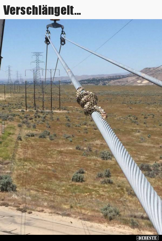 Verschlängelt...