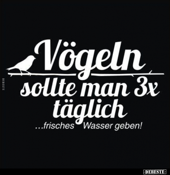 Geb, Vögel, Täglich, Wasser