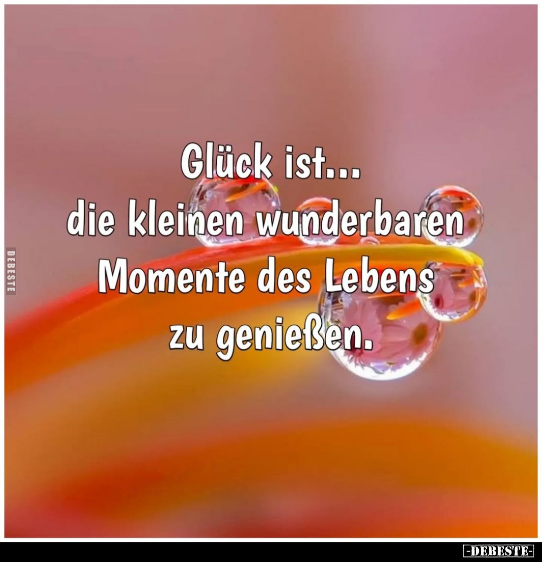 Glück ist... die kleinen wunderbaren Momente des Lebens zu genießen.