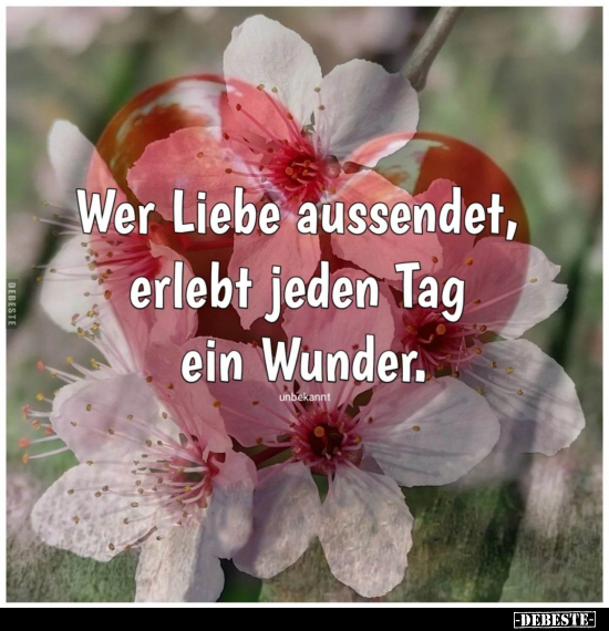 Wer Liebe aussendet, erlebt jeden Tag ein Wunder.. - Lustige Bilder | DEBESTE.de