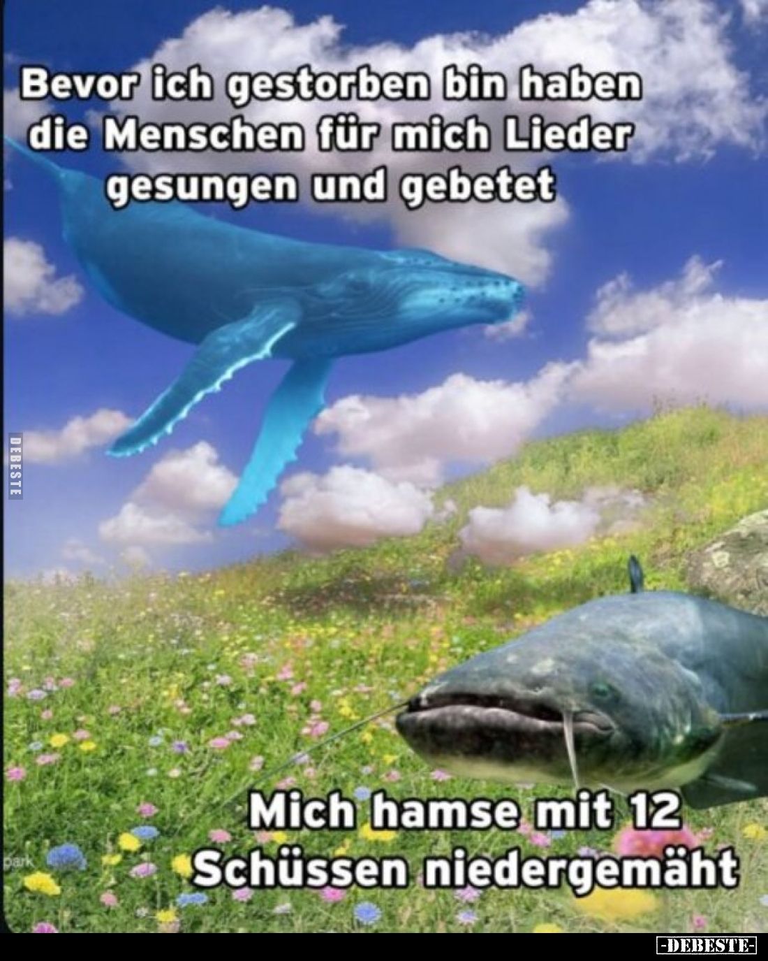 Bevor ich gestorben bin, haben die Menschen für mich Lieder gesungen und gebetet.Mich hamse mit 12 Schüssen niedergemäht.