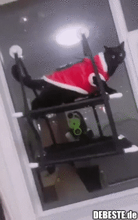 Hast du gesehen, was er mir angetan hat?