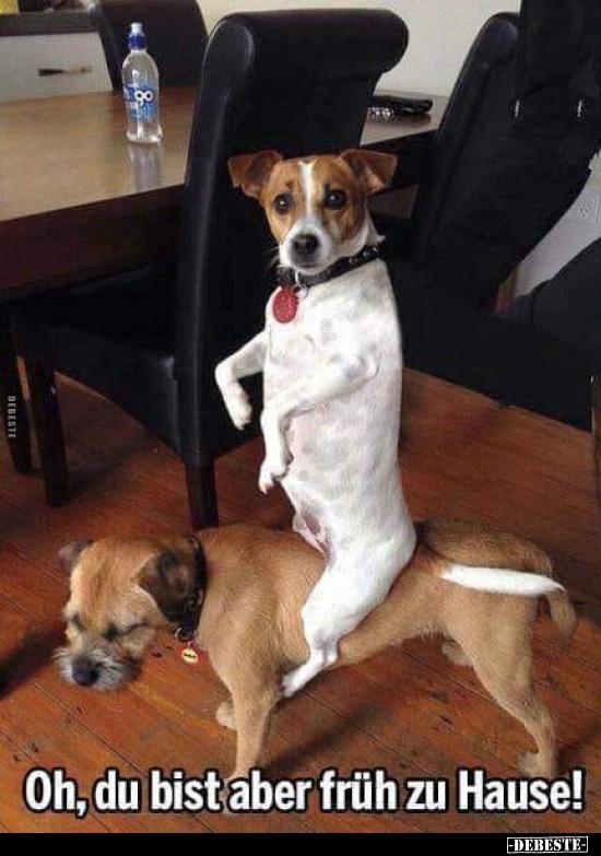 Oh, du bist aber früh zu Hause!