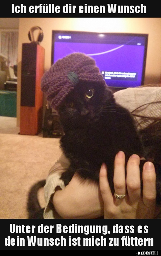 Ich erfülle dir einen Wunsch...