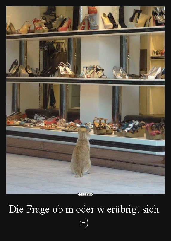 Die Frage ob m oder w erübrigt sich :-)