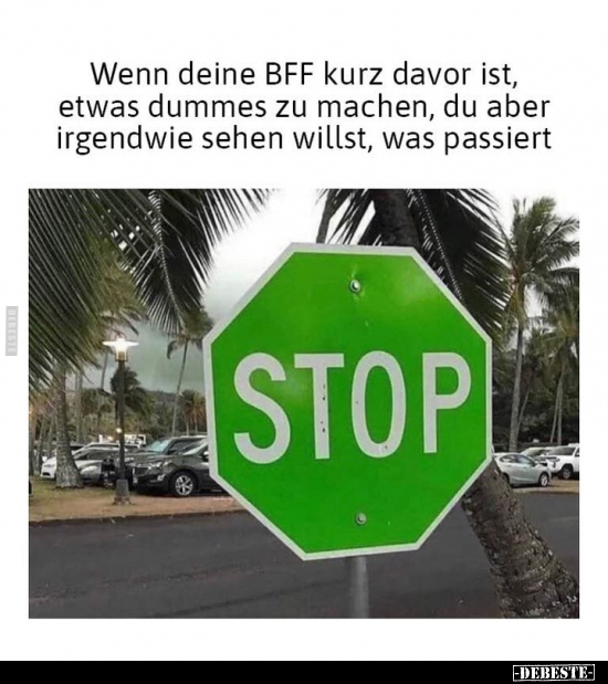 Wenn deine BFF kurz davor ist, etwas dummes zu machen, du.. - Lustige Bilder | DEBESTE.de