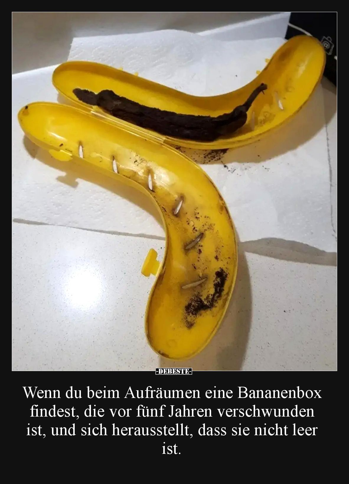 Wenn du beim Aufräumen eine Bananenbox findest, die vor fünf Jahren verschwunden ist, und sich herausstellt, dass sie nicht l...