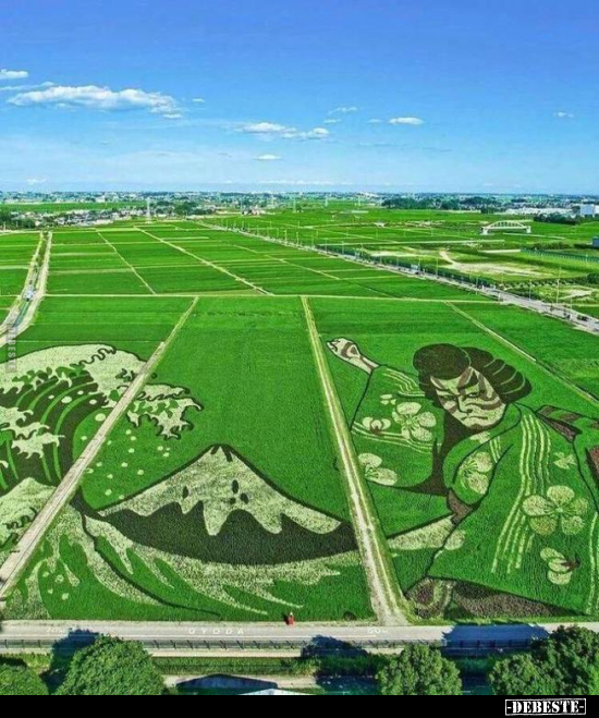  - Lustige Bilder | DEBESTE.de