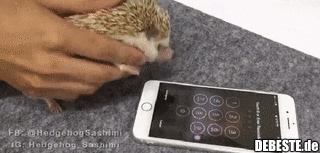 Biometrischer Schlüsseligel...