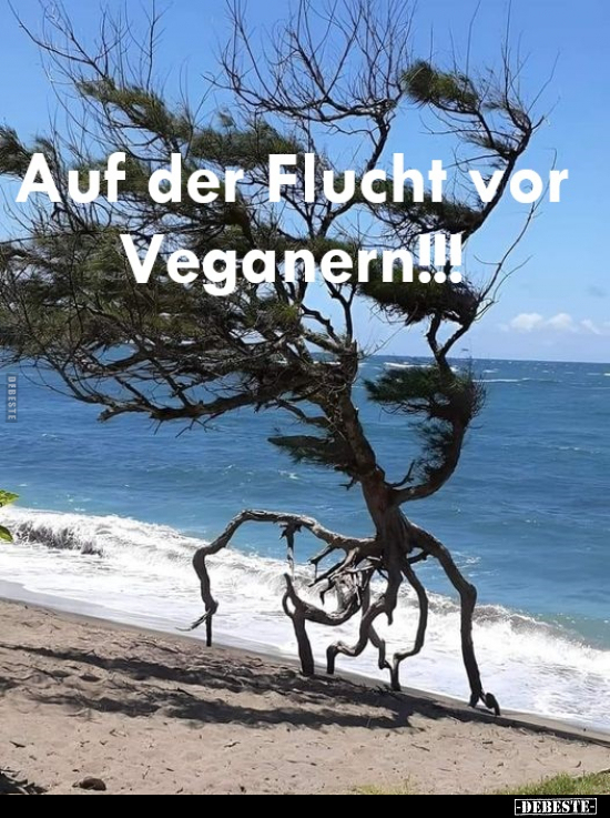 Auf der Flucht vor Veganern!!!.. - Lustige Bilder | DEBESTE.de
