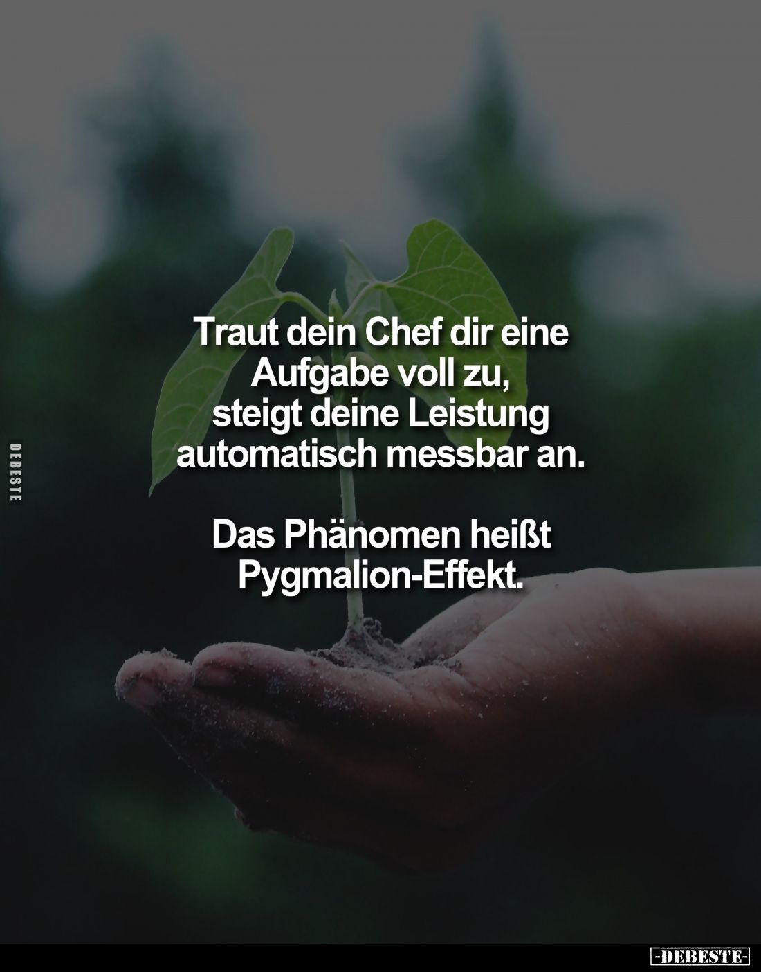 Traut dein Chef dir eine Aufgabe voll zu, steigt deine Leistung automatisch messbar an.
Das Phänomen heißt Pygmalion-Effekt.