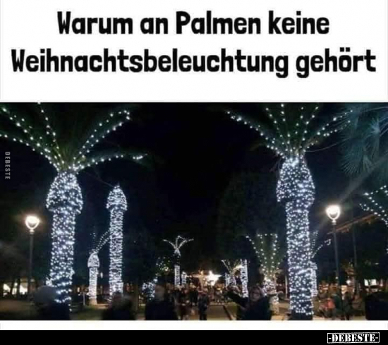 Warum an Palmen keine Weihnachtsbeleuchtung gehört.. - Lustige Bilder | DEBESTE.de