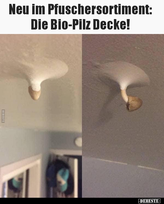 Neu im Pfuschersortiment: Die Bio-Pilz Decke!.. - Lustige Bilder | DEBESTE.de