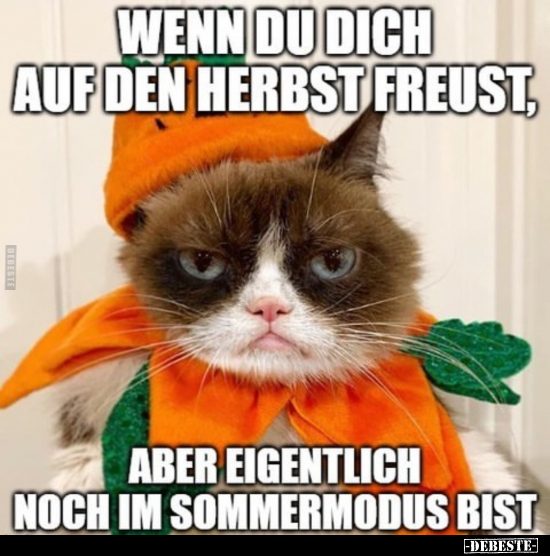 Wenn du dich auf den Herbst freust.. - Lustige Bilder | DEBESTE.de