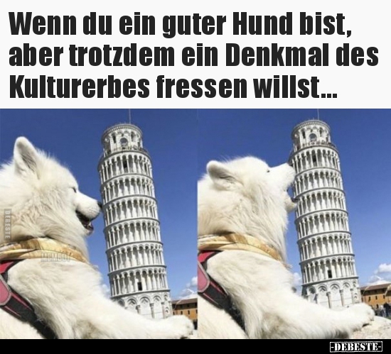 Wenn du ein guter Hund bist, aber trotzdem ein Denkmal des..