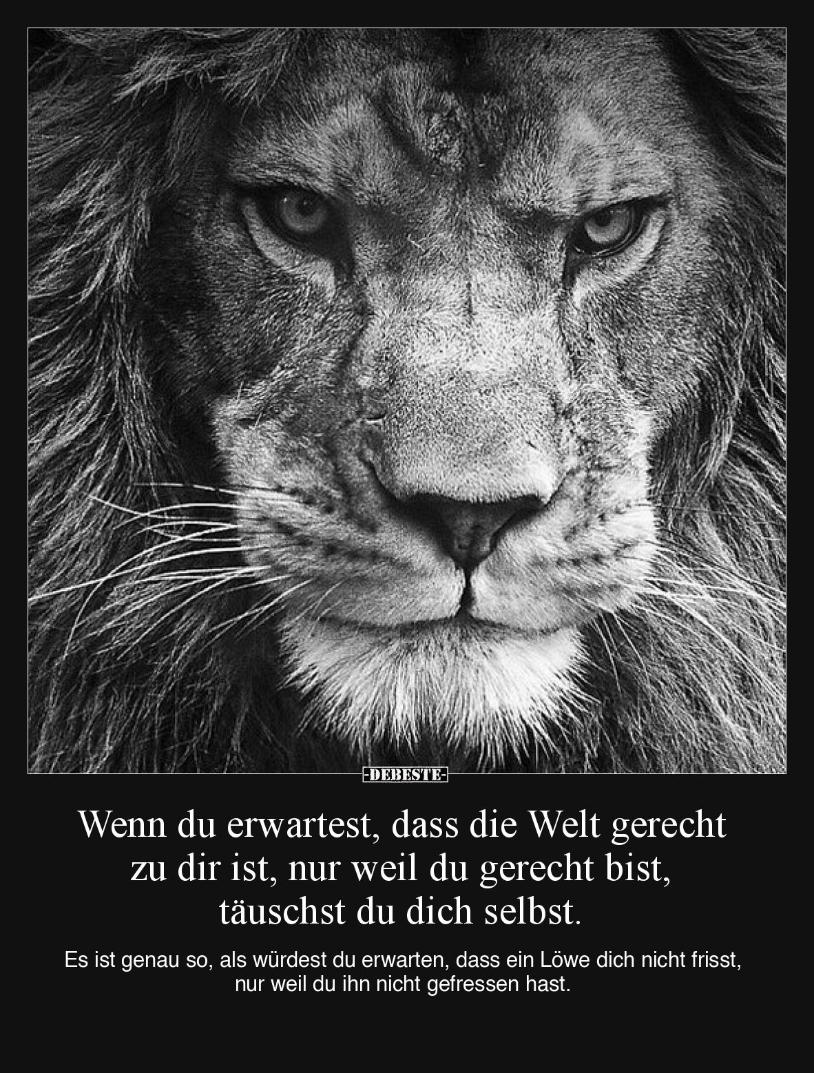 Wenn du erwartest, dass die Welt gerecht zu dir ist, nur.. - Lustige Bilder | DEBESTE.de