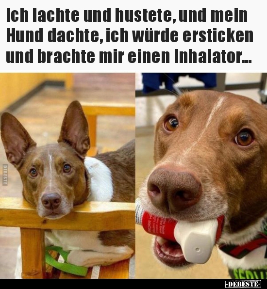 Ich lachte und hustete, und mein Hund dachte, ich würde..