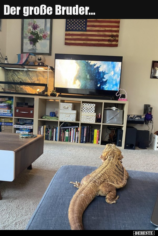Der große Bruder...