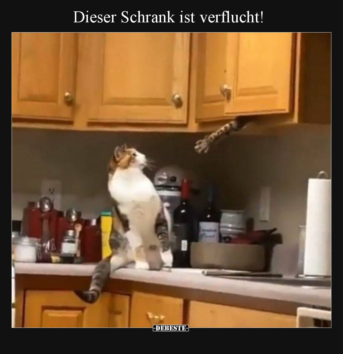 Dieser Schrank ist verflucht!
