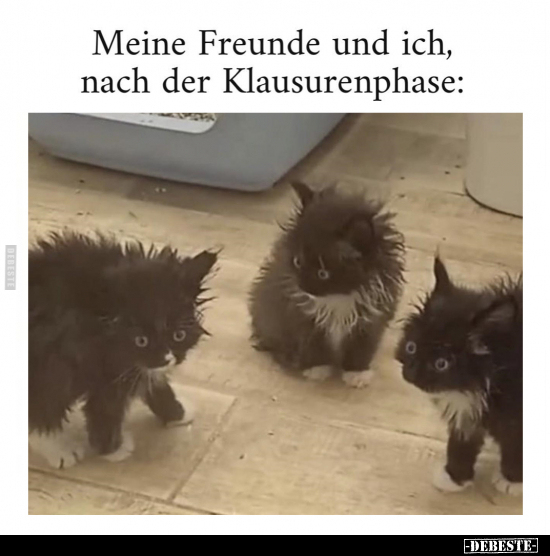 Meine Freunde und ich, nach der Klausurenphase.. - Lustige Bilder | DEBESTE.de