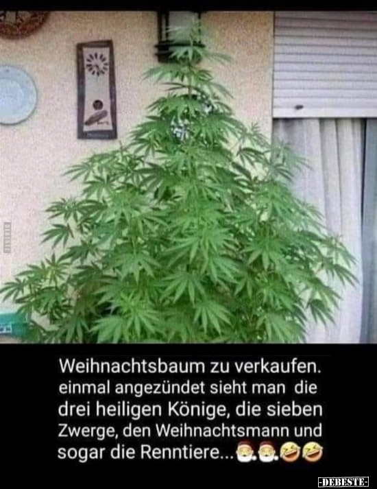 Weihnachtsbaum zu verkaufen.. - Lustige Bilder | DEBESTE.de