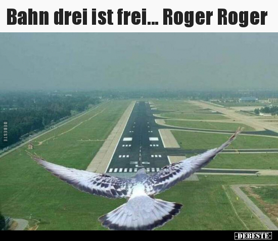 Bahn drei ist frei... Roger Roger.. - Lustige Bilder | DEBESTE.de