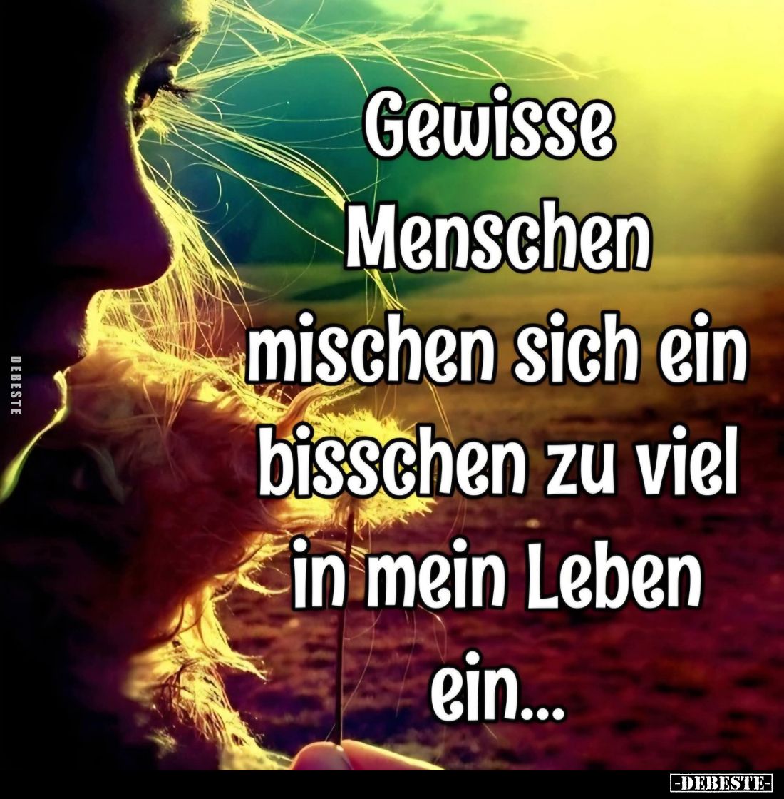 Gewisse Menschen mischen sich ein bisschen zu viel in mein Leben ein...