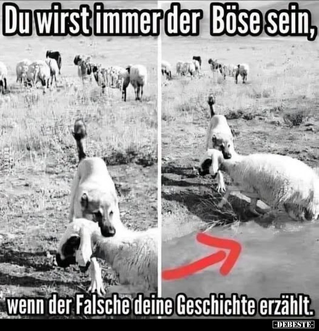 Du wirst immer der Böse sein, wenn der Falsche deine.. - Lustige Bilder | DEBESTE.de