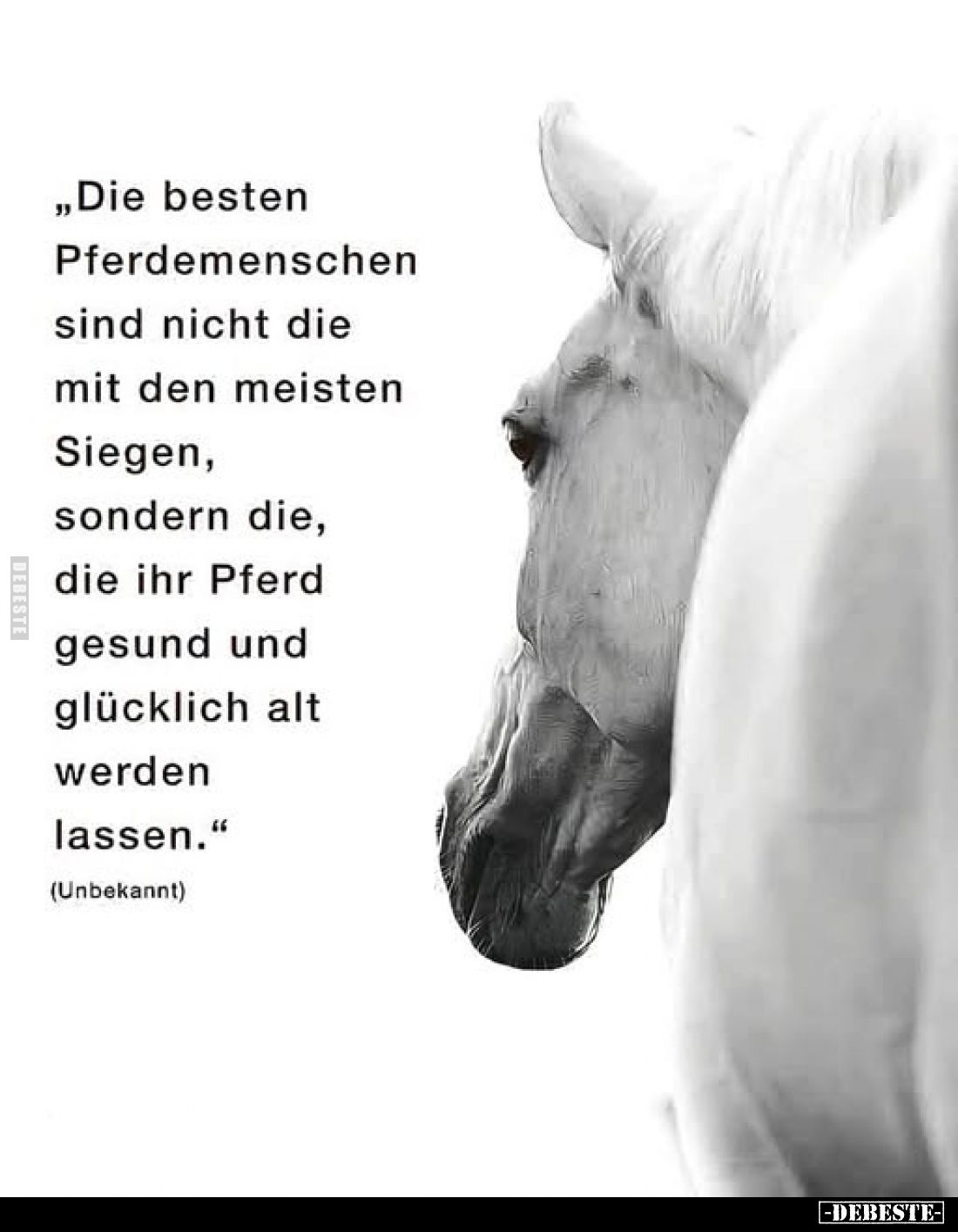 „Die besten Pferdemenschen sind nicht die mit den meisten Siegen, sondern die, die ihr Pferd gesund und glücklich alt werden ...