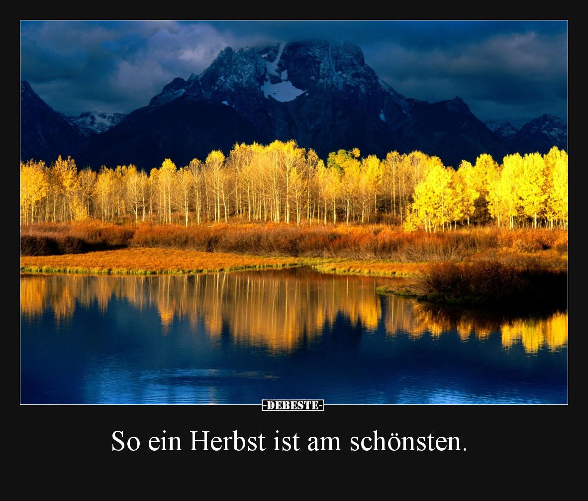 So ein Herbst ist am schönsten.