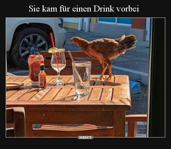 Sie kam für einen Drink vorbei.. - Lustige Bilder | DEBESTE.de