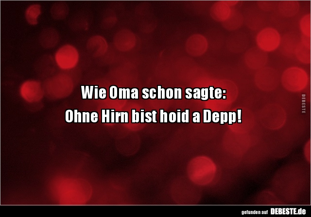 Wie Oma schon sagte:  Ohne Hirn bist hoid a Depp!.. - Lustige Bilder | DEBESTE.de