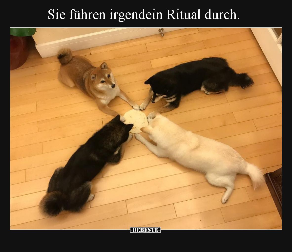 Sie führen irgendein Ritual durch.