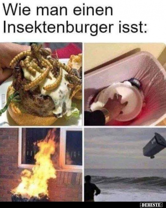 Wie man einen Insektenburger isst.. - Lustige Bilder | DEBESTE.de