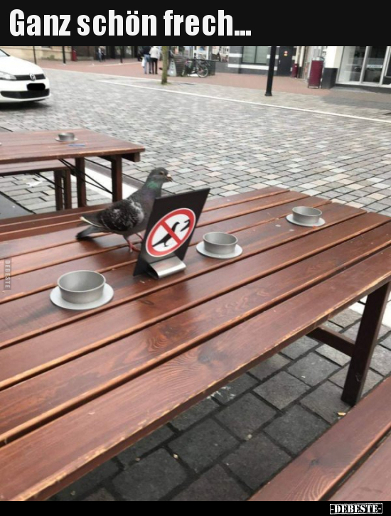 Ganz schön frech...