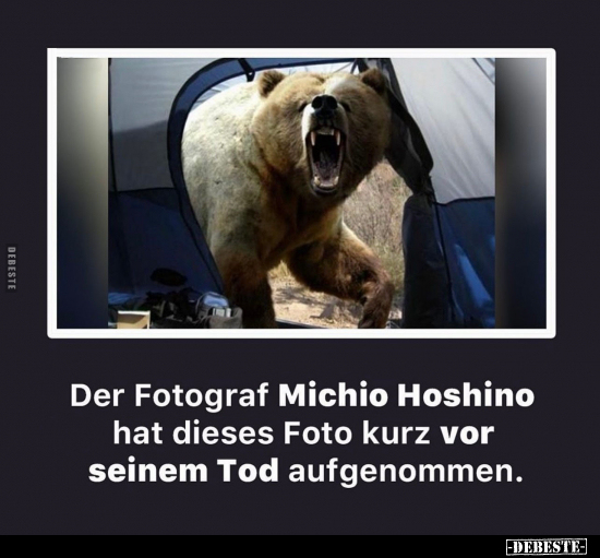 Der Fotograf Michio Hoshino hat dieses Foto kurz vor seinem Tod.. - Lustige Bilder | DEBESTE.de
